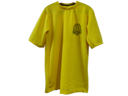Gryffindor Yellow color Harry Potter Stylish Oversize T-Shirt front view